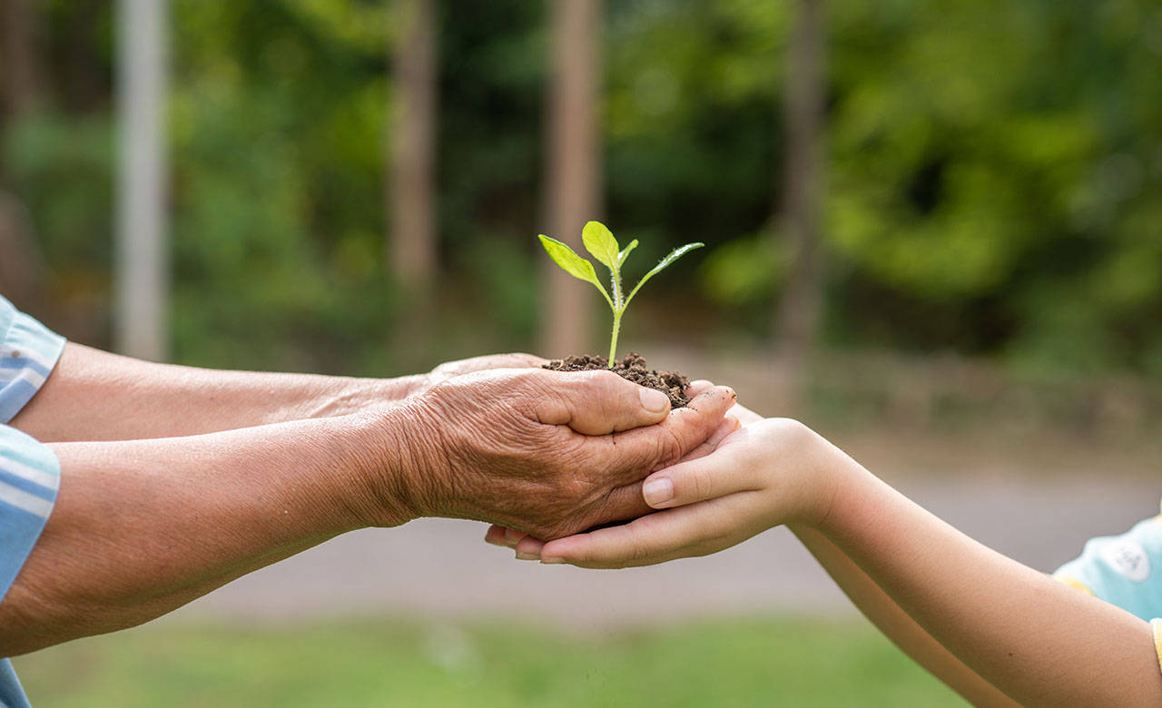 Focus sur l’Assurance Responsabilité Civile Environnementale